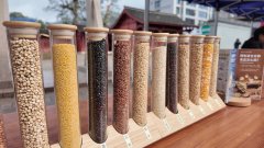 又有监视食物平安